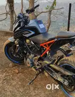 Duke 250 15/10/2022