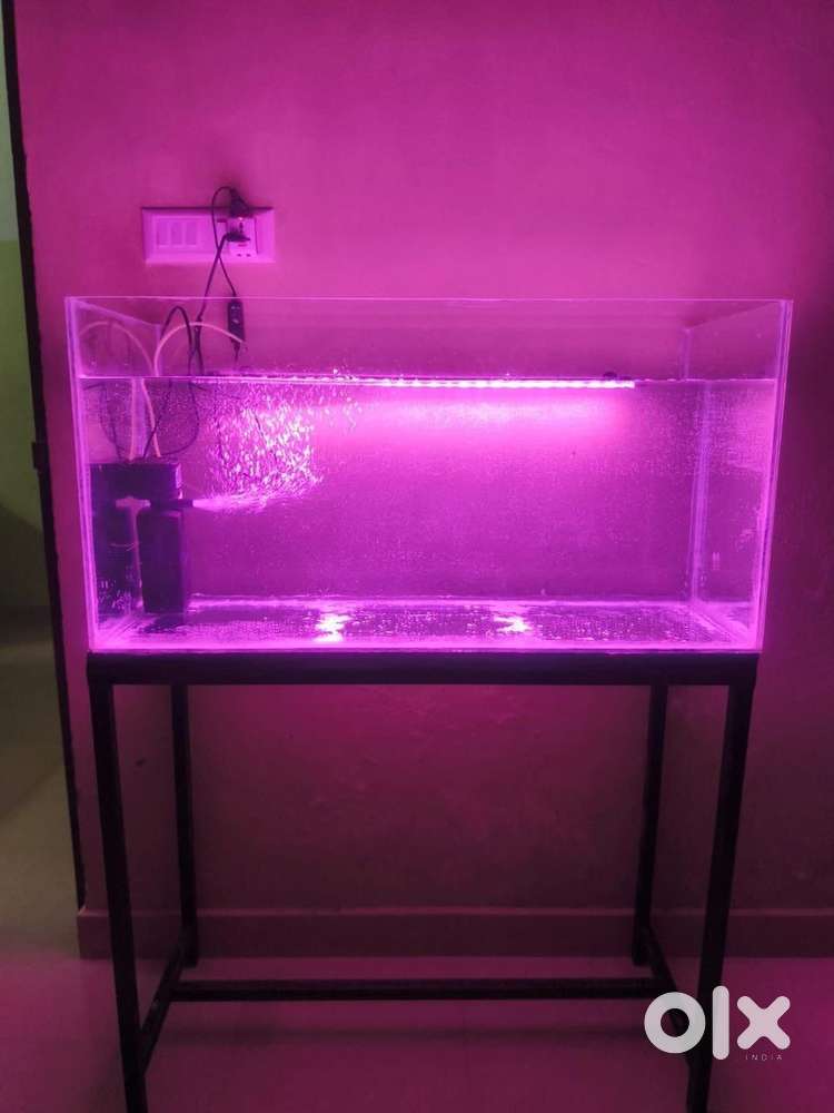 FISH TANK FOR SALE WITH OTHER ACCESSORIES