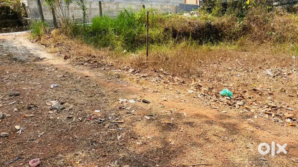 Land near homeo college