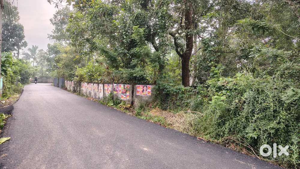 20 cent plot near Thalavady SBI Alappuzha .
