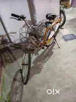Lady Bird bycycle for sale