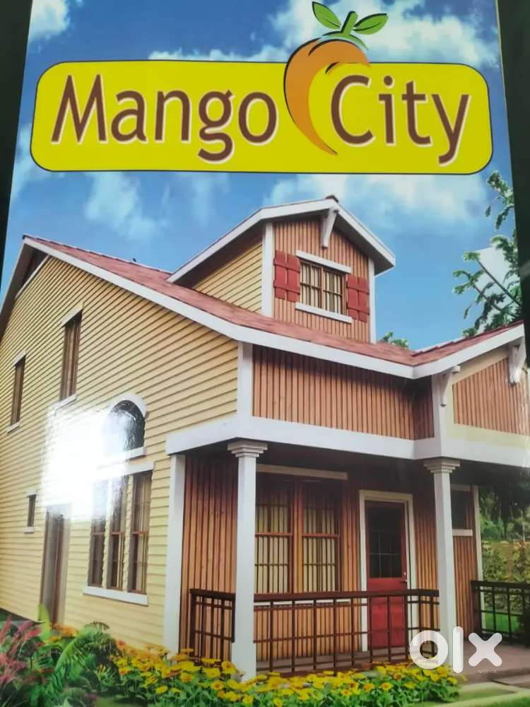 Need a leaflet Distribution boy