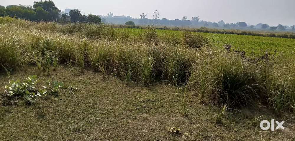 Commercial/Agricultural land behind blue world