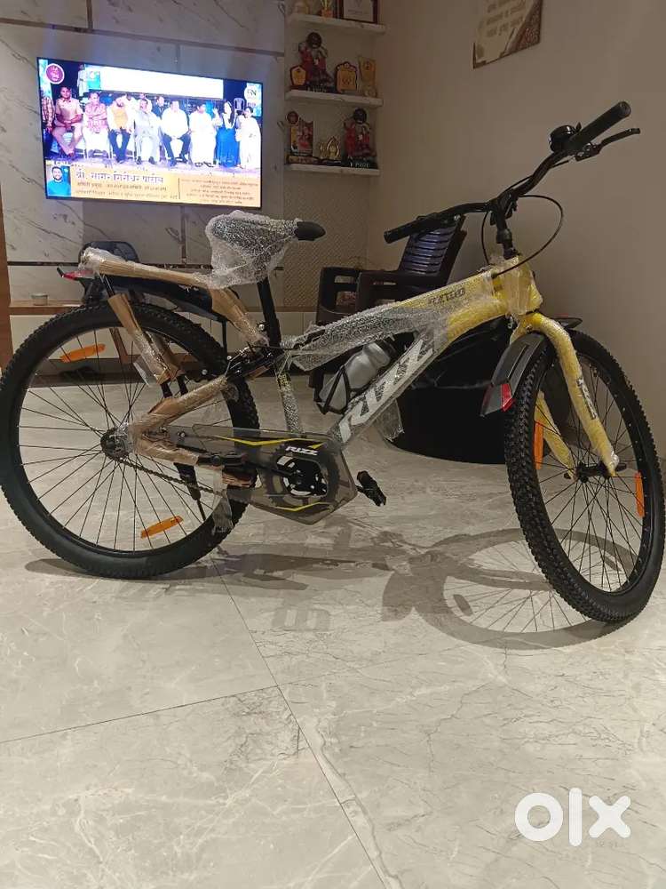 Rizz Bicycle