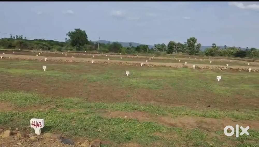 Highway facing open plots
