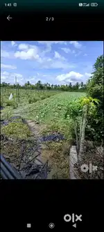 Agriculture land for sale