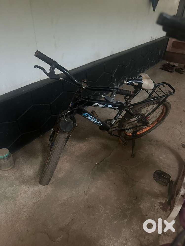 2 cycles. One is 20 inch boys and another one is for girl lady bird