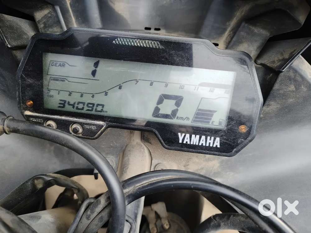 R15 v3. 2020