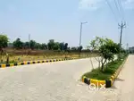 Plot for sale in tarlok avenue Backside verk milk plant