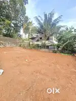 6CENT HOUSE PLOT PULLANIVILA GANTHIPURAM ROAD 50MTR MAIN ROAD