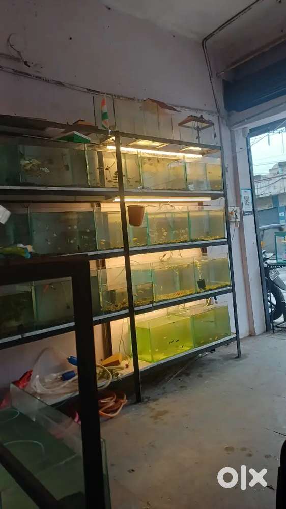 Aquarium equipment for sale at new bowenpally
