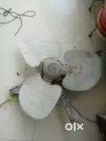 cooler fan