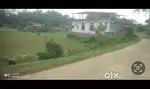 3 Khata Commercial Land in Back side of new DC Office Silchar