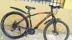 ROADEO FUGUTIVE 29T with 21 speed gears