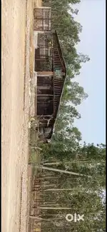 Shahjahanpur dadrol mod sanjna gaon me 40×67 ka plot
