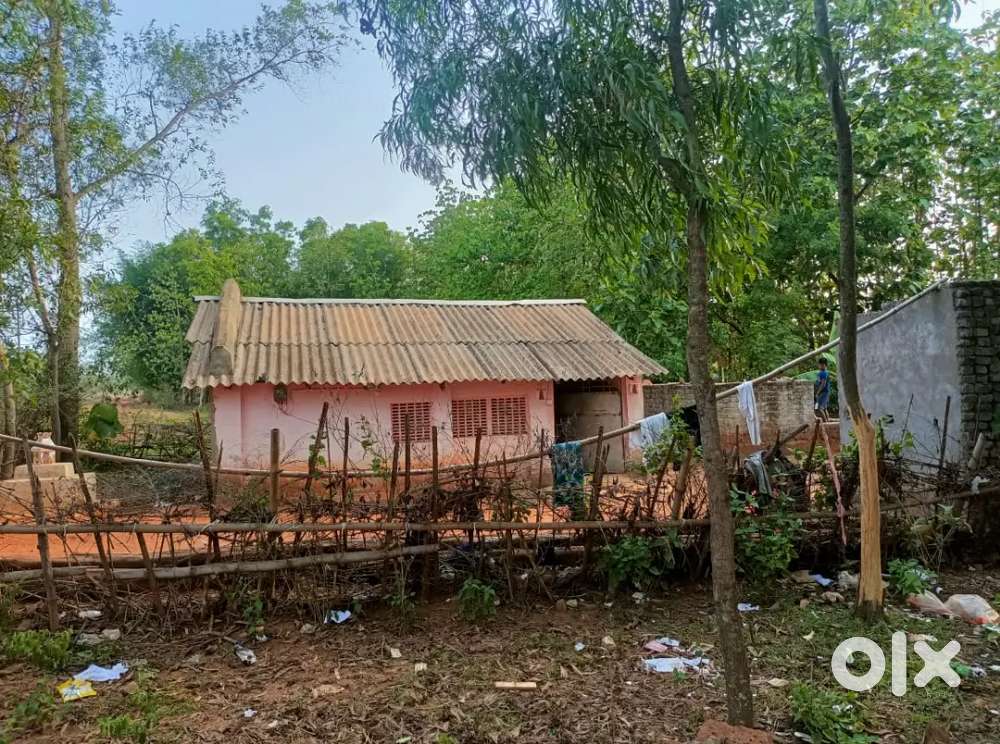 Plot for sale Jyoti Nagar, W no 12, Udala