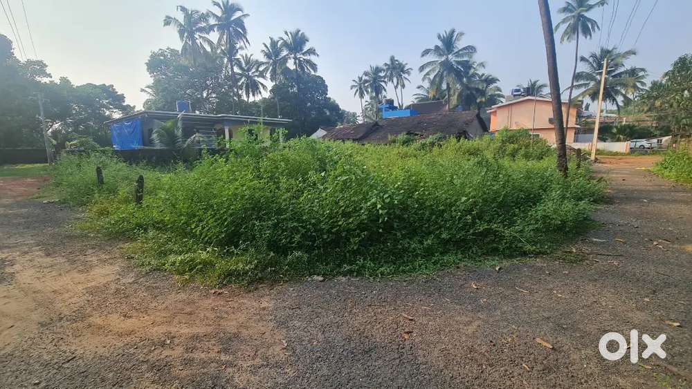 310SQMT PLOT AVAILABLE FOR RENT IN SIOLIM