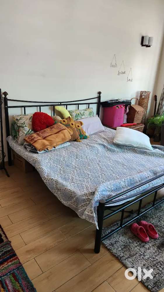 Bye Bye Termites, Hello Peace of mind - Metal Bed
