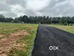 கிணத்துக்கடவில் வீட்டு மனைகள் விற்பனைக்கு