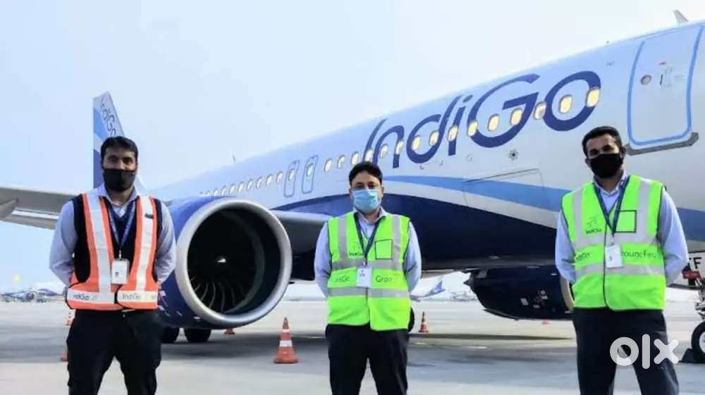 URGENTLY JOB VACANCY IN AIRPORT GROUND STAFF/CABIN CREW APPLY NOW
