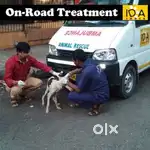 Animal ( dog cat ) rescue van