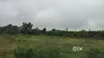 2.27 Acres Agriculture land for sale,26 lakh per Acre,Negotiable Price
