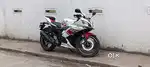 Full fresh condition