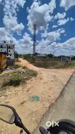 VACANT LAND FOR RENT IN NEAR PANJAPUR BUS STAND ECHIKAMMALAI PATTI TRI