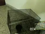 Rabbit or bird cage