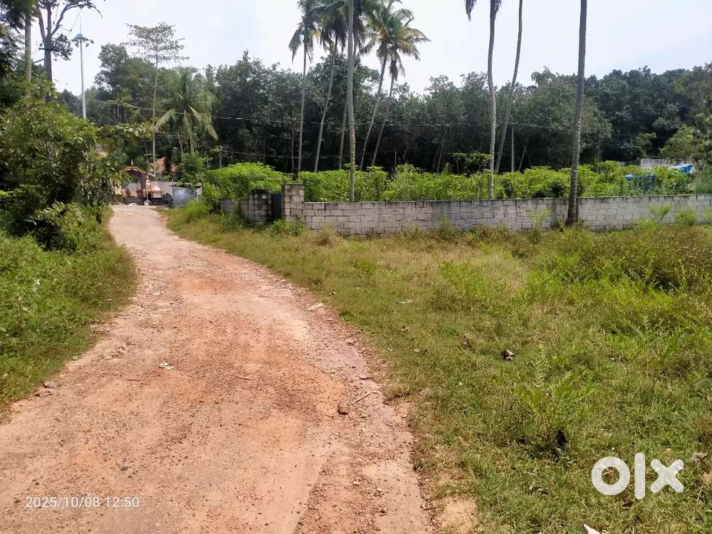 Attingal Korani NH ninnum 1.4 km mari plot for. Sale