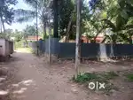 മാമൂട്ടിൽകടവ്, കാവനാട്, കൊല്ലം