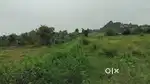 26 lakh per Acre,Small Negotiable,2.27 Acres Agriculture land for sale