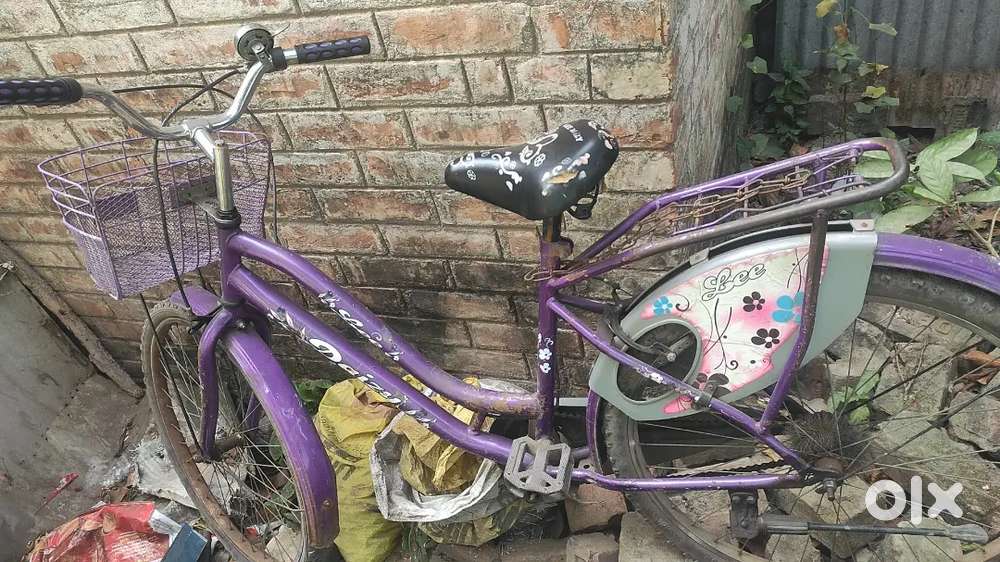 Ladybird cycle for sale