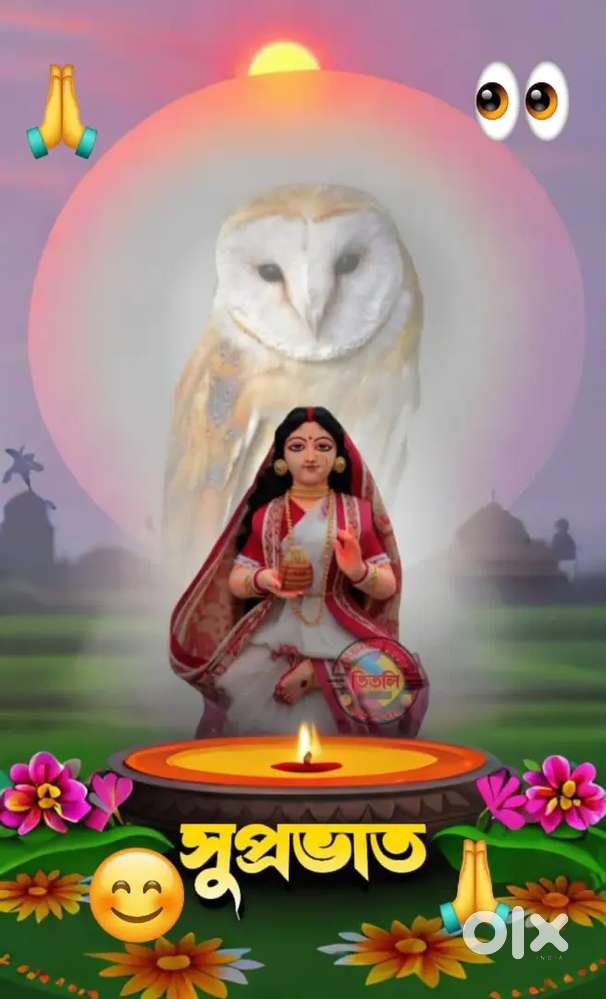 ২ গন্ডা জায়গা ২ টি ফোল ওয়াল টিনের চালের ঘড় সহ জায়গা বিক্রি