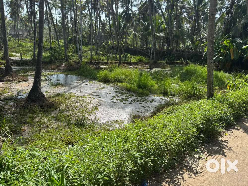 Per cent 6lakh   available 10 cent plt