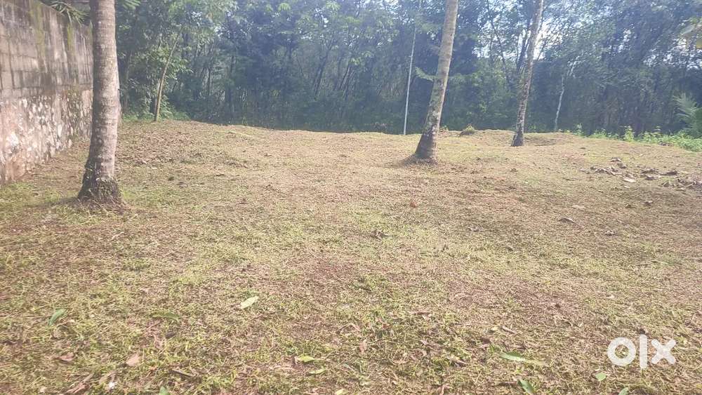 12 cent plot for sale