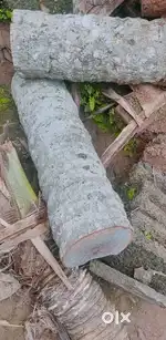 Theng wood free