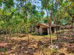3.5 acres rubber plantation for sale in Memadangu, Muvattupuzha