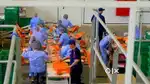 Wanted m/f factory packing helpers