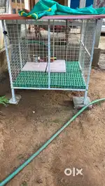Animal cage (new)