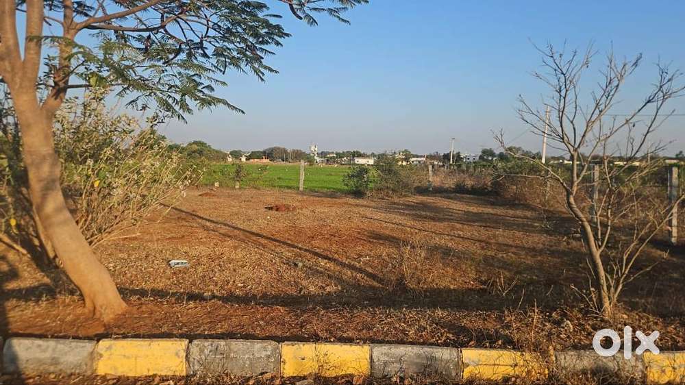 plot for sale 288 square yards in shadh nagar