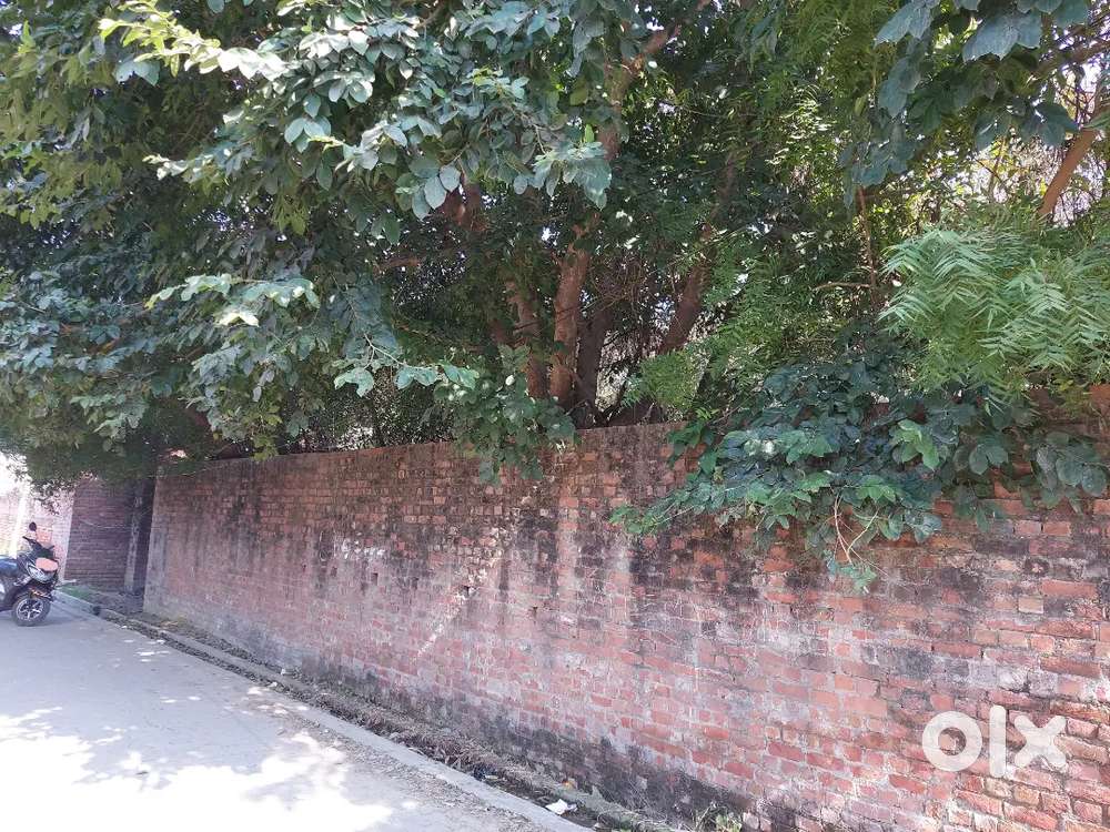 Plot Available for Commercial Purposes On Rent