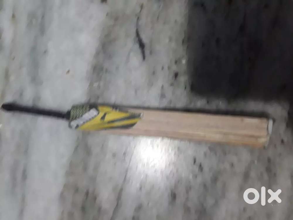 Miniature cricket bats