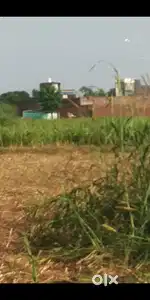 Der bigha zameen for sale