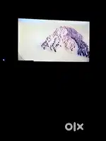 Koryo led 32 inch for sale
