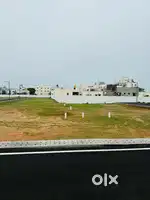 Value Reality