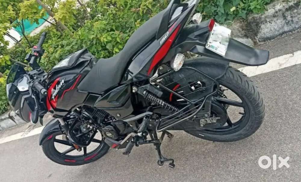 Pulsar 150(ph:74835:06686)
