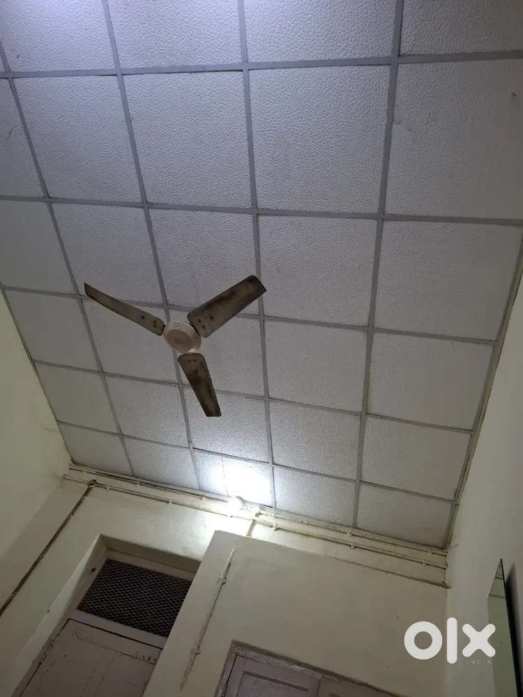 I want a 1bhk flate on rent