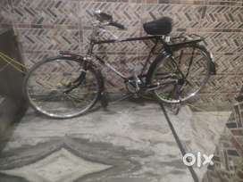 Neelam bicycle