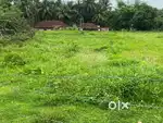 Near green filed meadows nitk srinivas nagara munchuru
